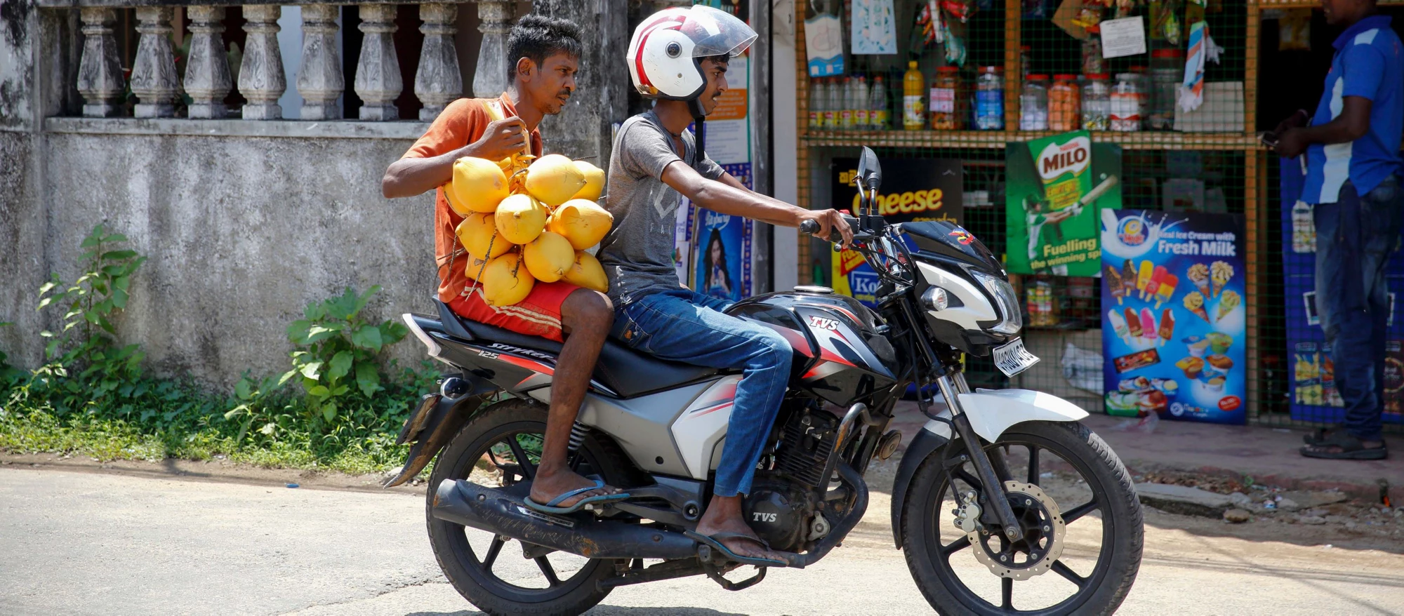 Picture of a man carrying red coconut on a motor bike in Gorakana, Panadura, Sri Lanka.