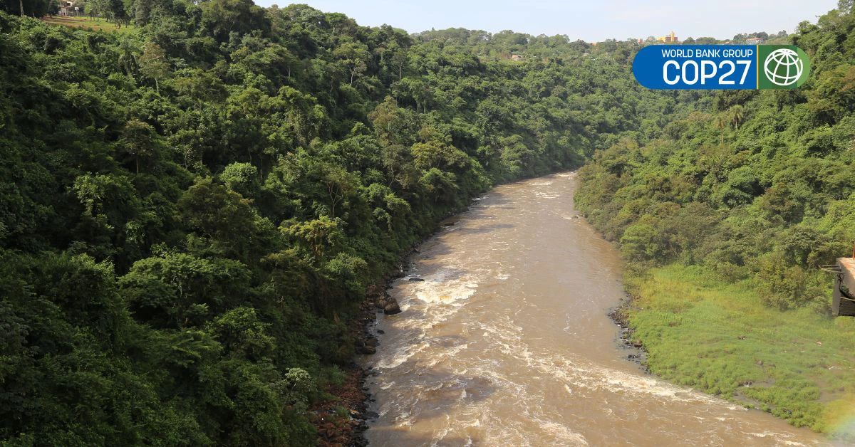 The Monday River bordered by the Atlantic forest in Paraguay