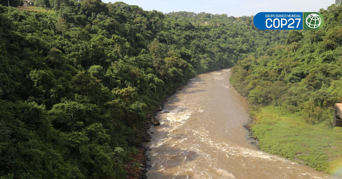 El río Monday bordeado por el bosque atlántico en Paraguay. 