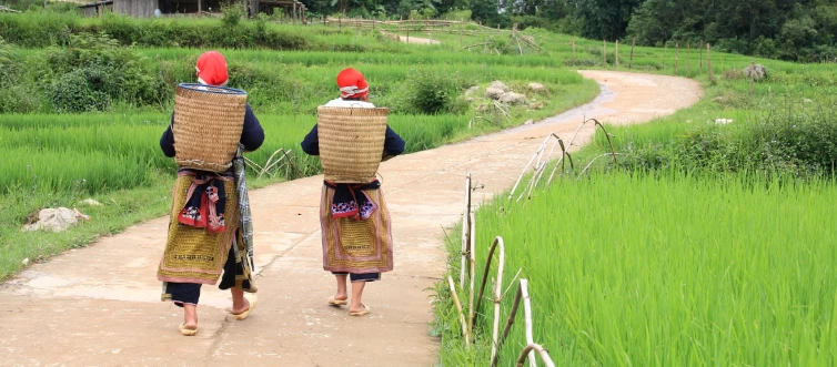 Two Hmong Hilltribe women with traditional fabric dress carry basket near terraced paddy rice fields and walk on the footpath road to their mountain village in Sapa, Vietnam.