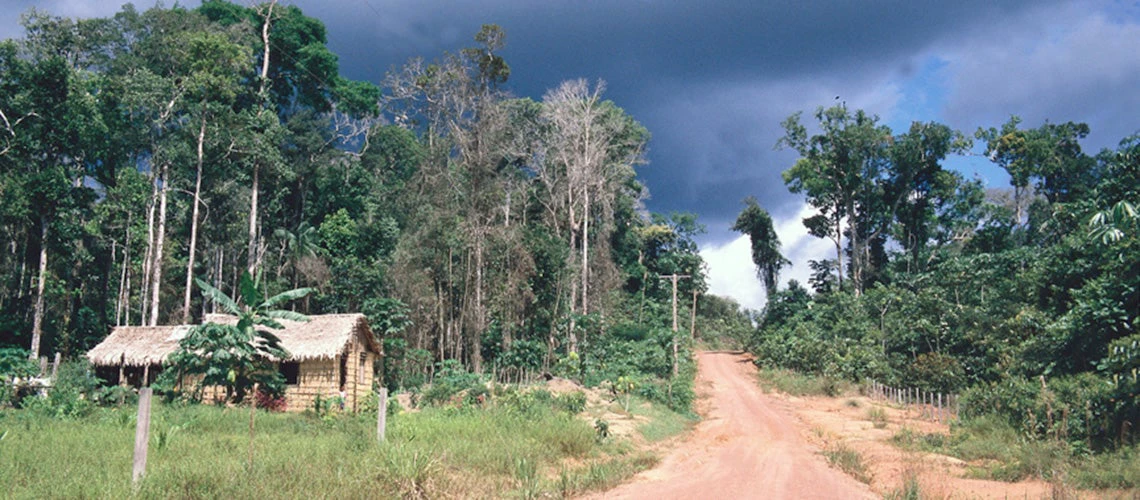 A scene in the Amazon region of Brazil, near Manaus. Here locals harvest mandioca, coconuts and cocoa and other freely found goods to eat and to sell. Brazil. | © Julio Pantoja / World Bank