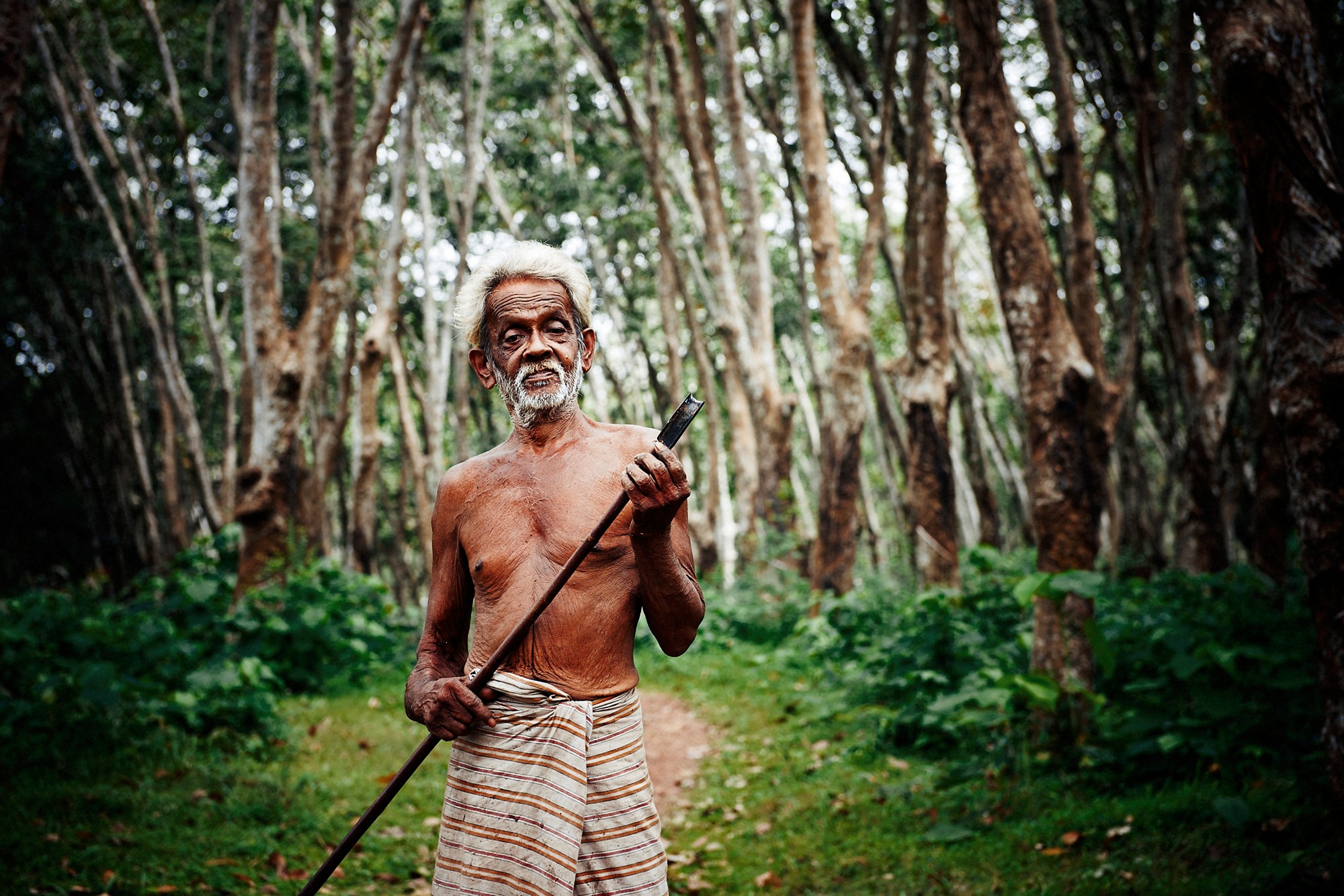 Rubber Plantation worker Environment Concept