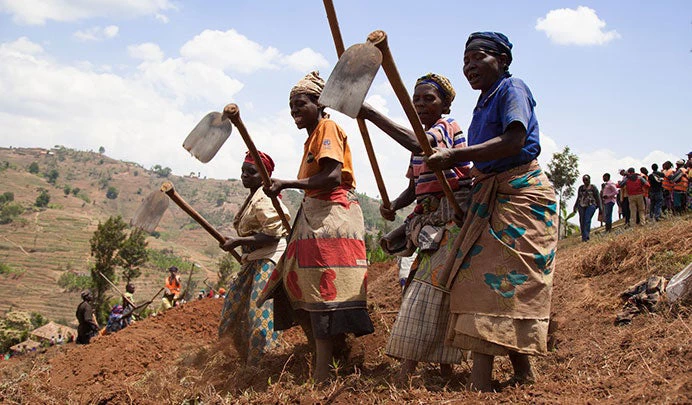النساء يقمن بإعداد المصاطب والأرائك في مزرعة في رواندا