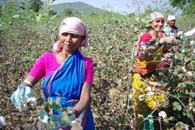 Organic cotton farmers, Golamunda village in Orissa, 2010