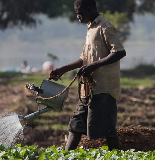 Scaling Up Farmer Financing Through Agtechs In Sub Saharan Africa IFC 2024