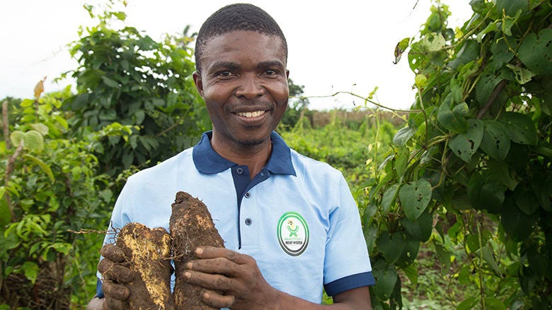 Scaling-up-innovations-in-agriculture-lessons-from-africa-780x439