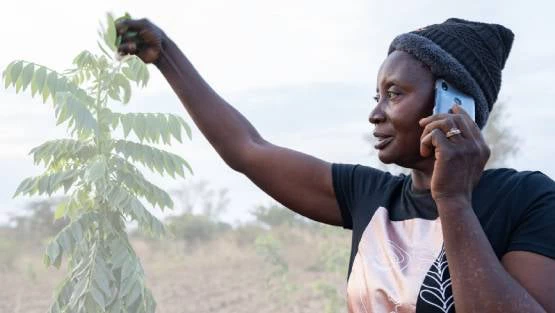 Esther Zulu is a farmer, livestock keeper, and community leader from Nyimba District in Eastern Zambia. 