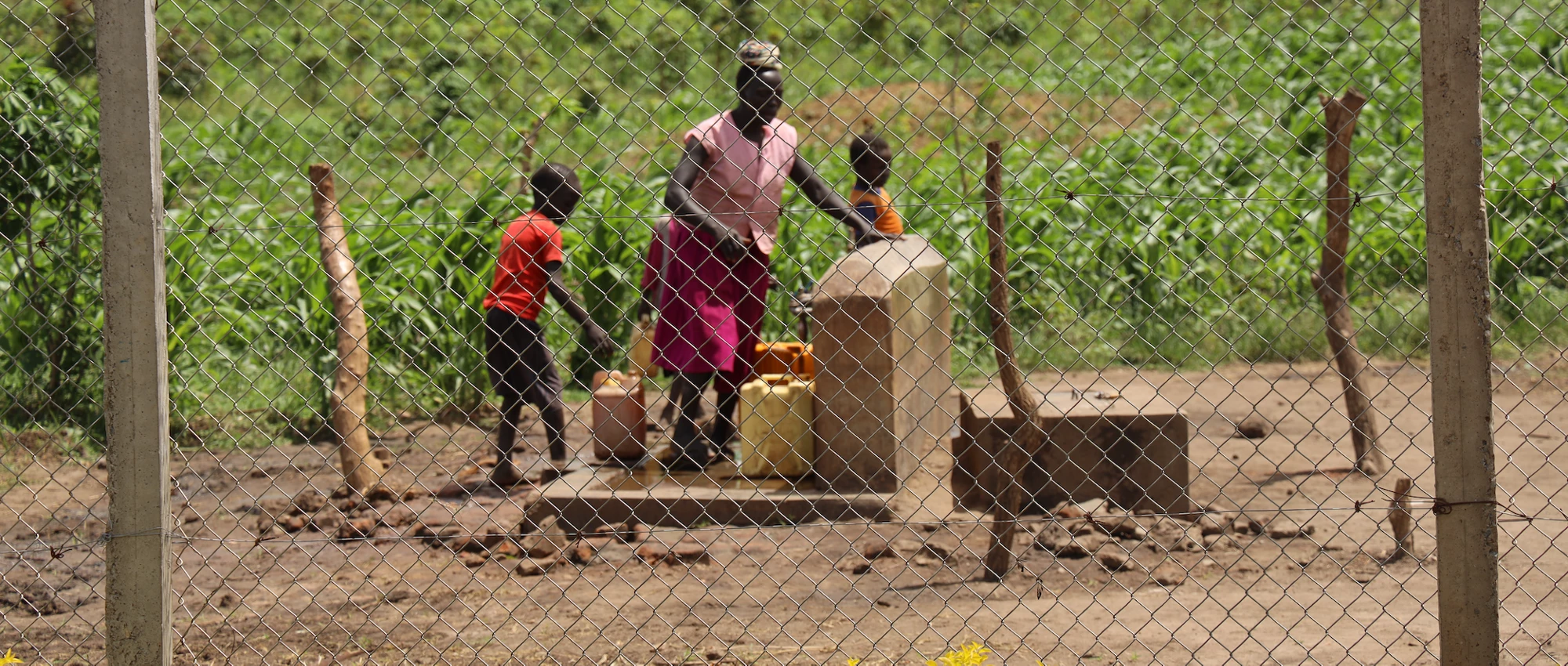 Collecting Water in Uganda. World Bank
