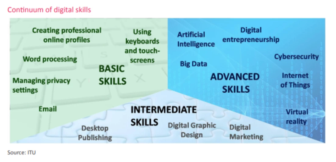 Continuum of Digital Skills