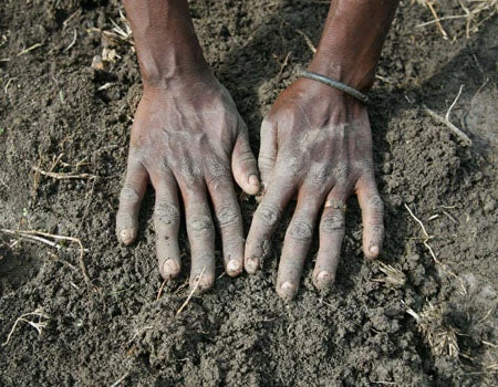 The m2Work hackathon is planting the seeds for innovative entrepreneurship (Credit: ILRI, Flickr Creative Commons)