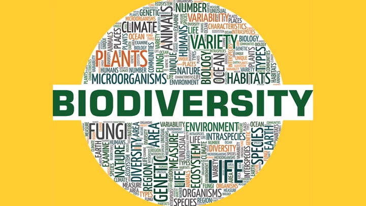 Bridging conflicts and protecting global biodiversity