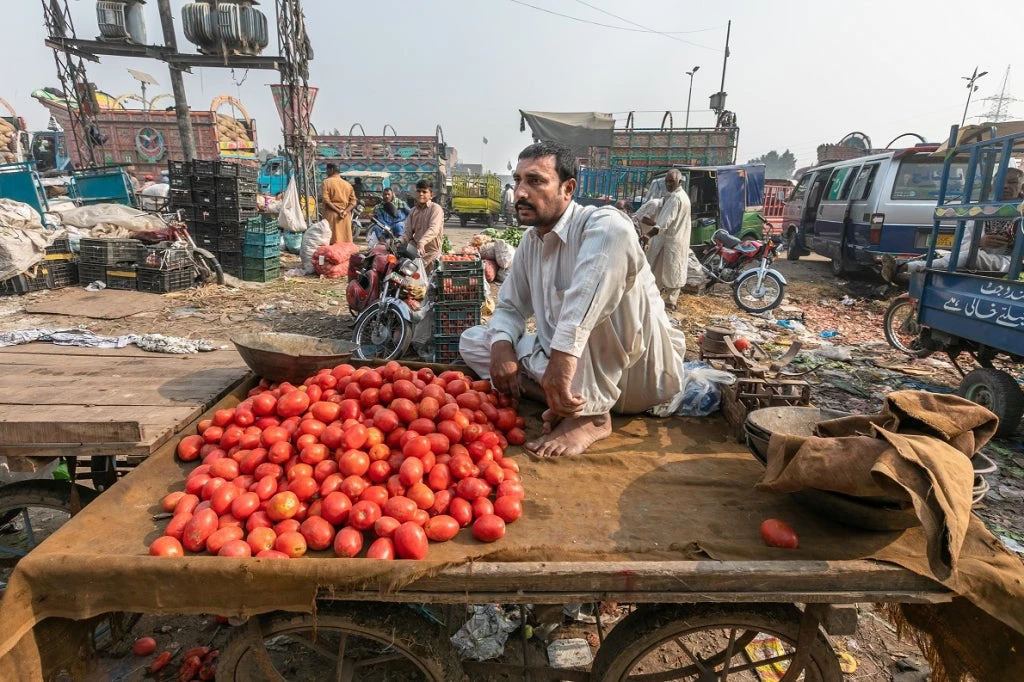 Tomato seller in Lahore, Pakistan
