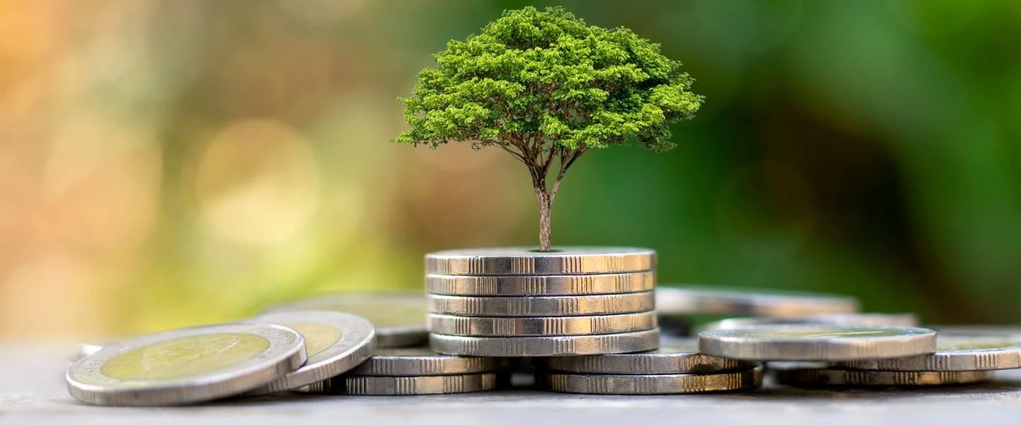 A tree growing out of a stack of coins in front of a blurred yellow and green background.