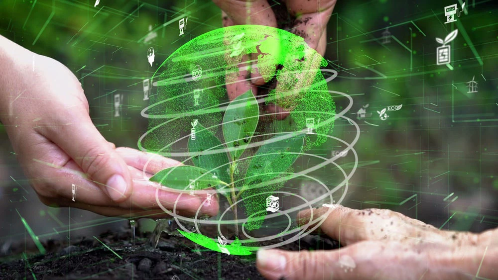 Picture of hands holding a green globe. (Blue Planet Studio/Shutterstock.com)