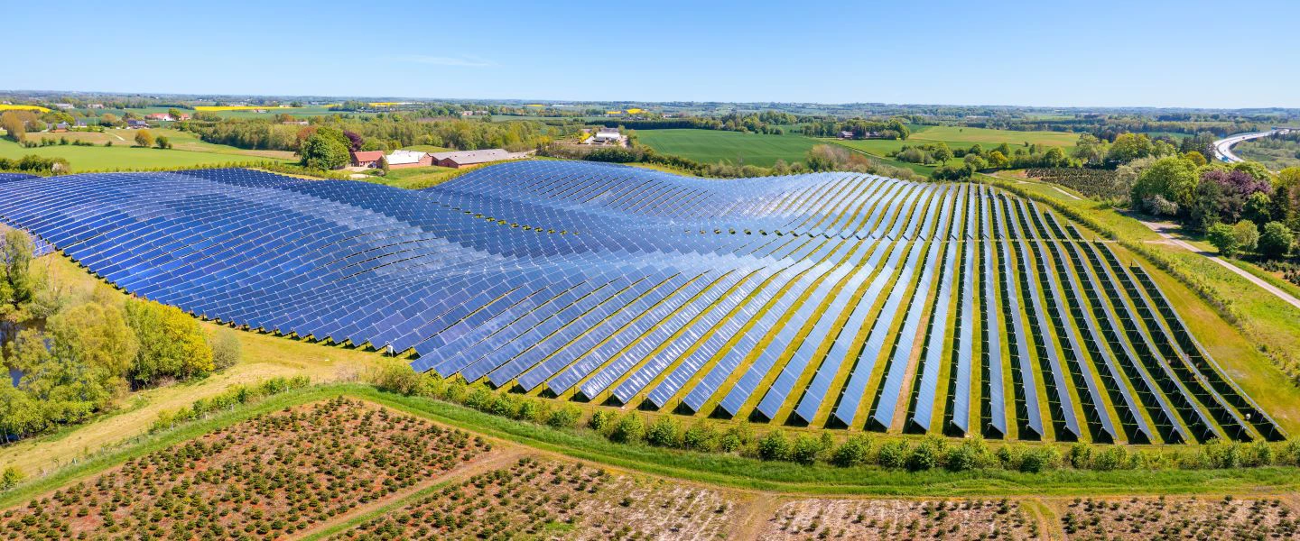 A sea of solar panels against a field of green. 
