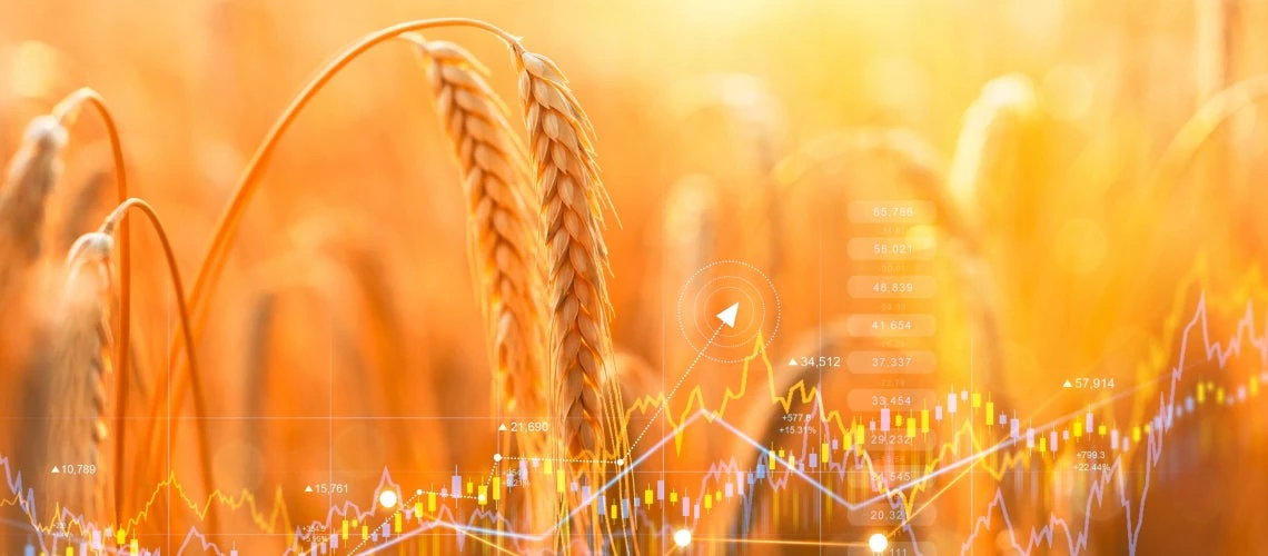 A field of wheat bathed in sunshine with a chart of prices indices overlaid.