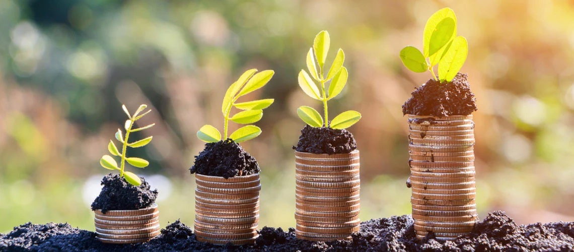 young plants growing in germination sequence on golden coins