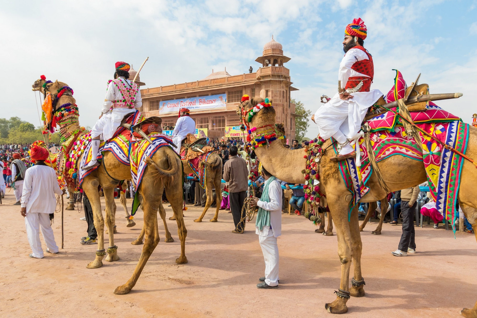 Rajasthani men riding camels at the Bikaner Camel Mela in Rajastan, India. Photo: Nila Newsom / Shutterstock.com 