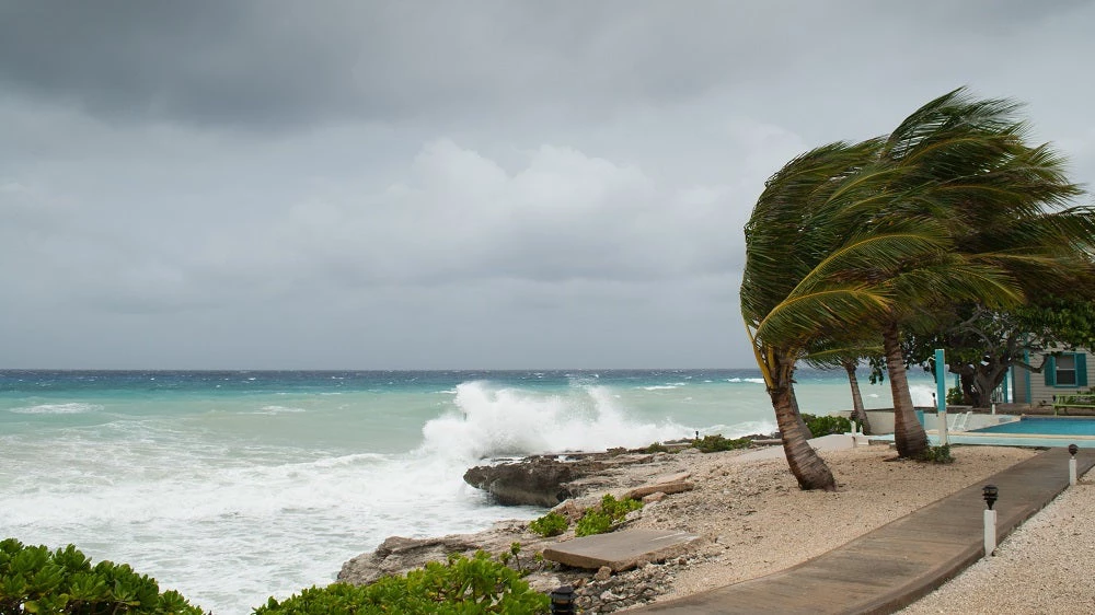 A hurricane is about to batter Caribbean beach.