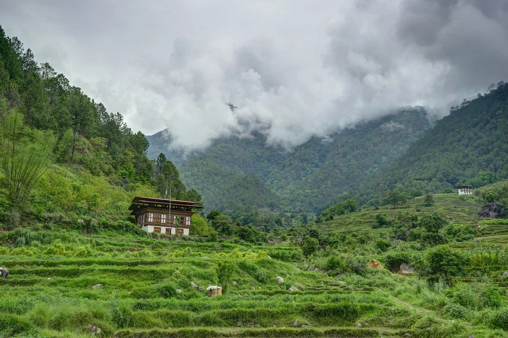 Bhutan forest cover 