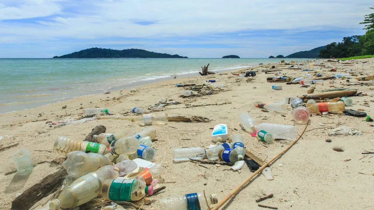 Plastic waste on a beach