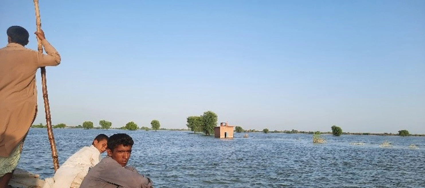 A view of land submerged in Sindh. 