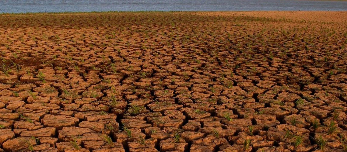 Photo de sols dégradés par la sécheresse