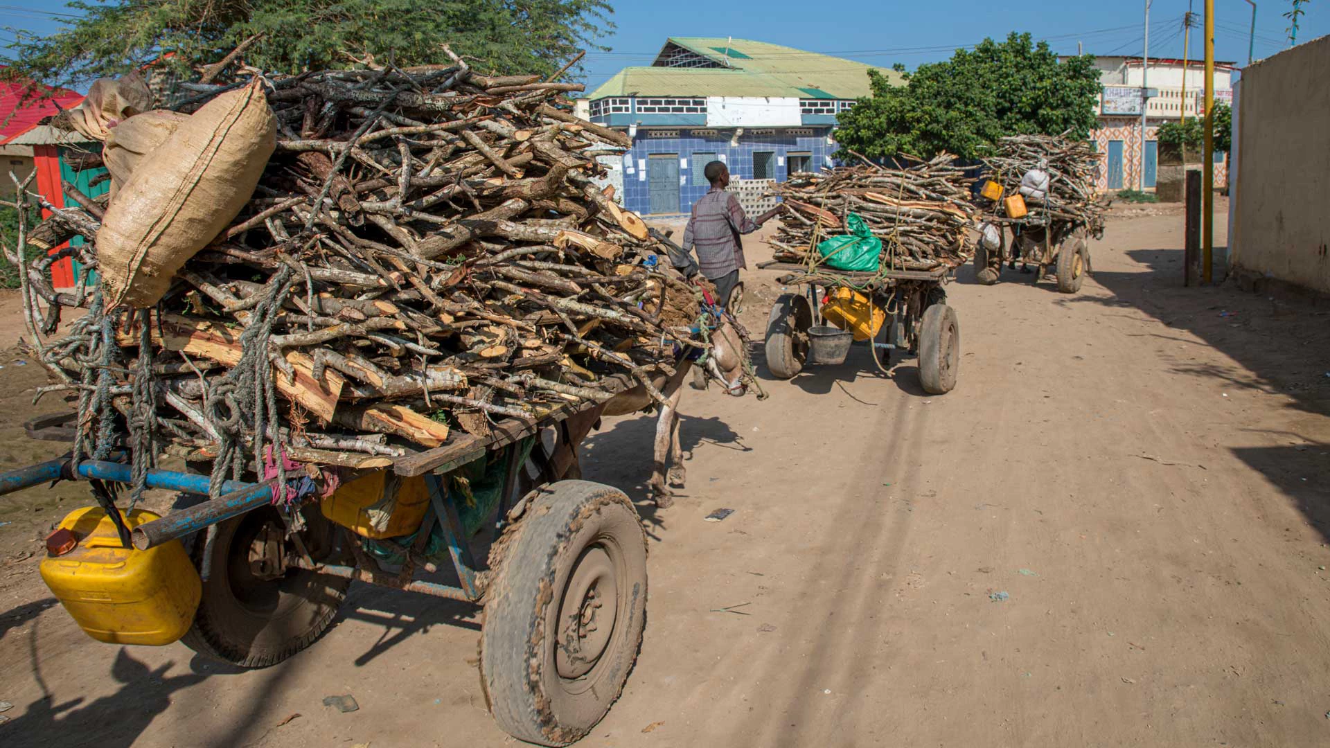 Logs being transported