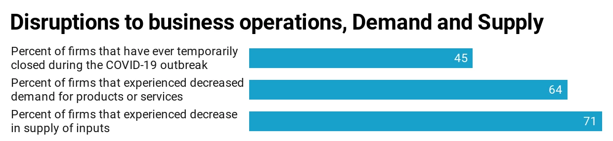 Disruptions to business operations, Demand and Supply