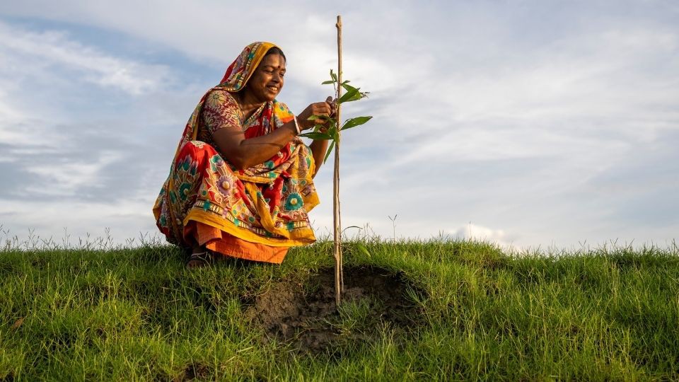 Helping People and Firms Adapt in South Asia image