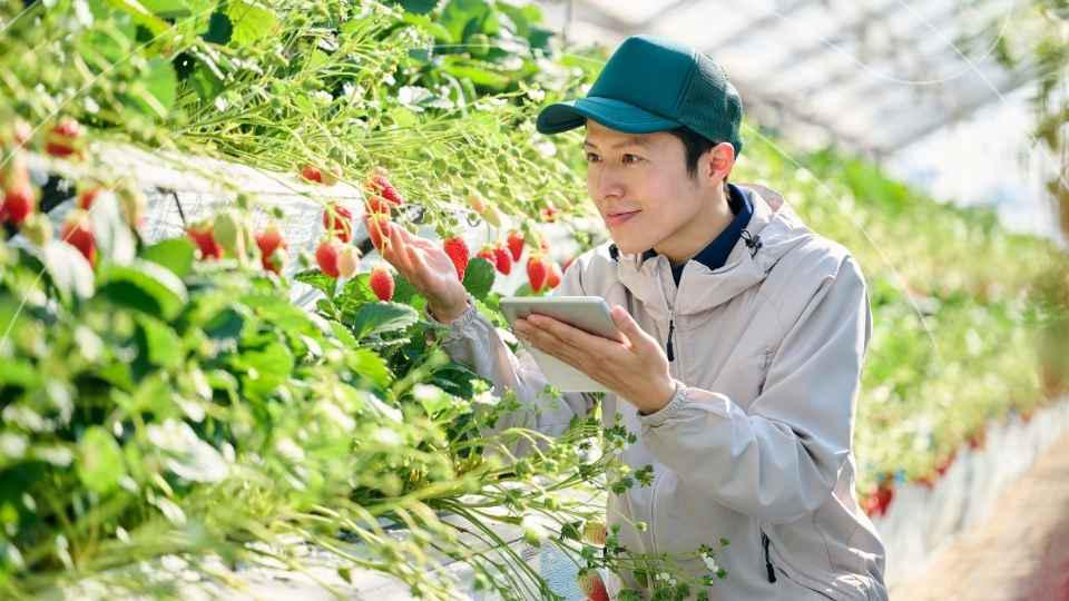 2026 Spring Meetings | From Commitment to Success: Reaching 300 Million Farmers through AgriConnect