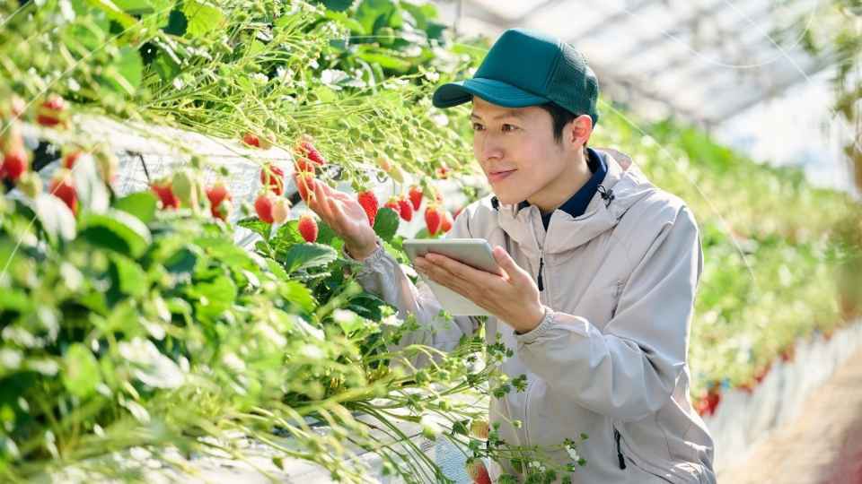 2026 Spring Meetings | From Commitment to Success: Reaching 300 Million Farmers through AgriConnect