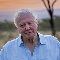 Sir David  Attenborough