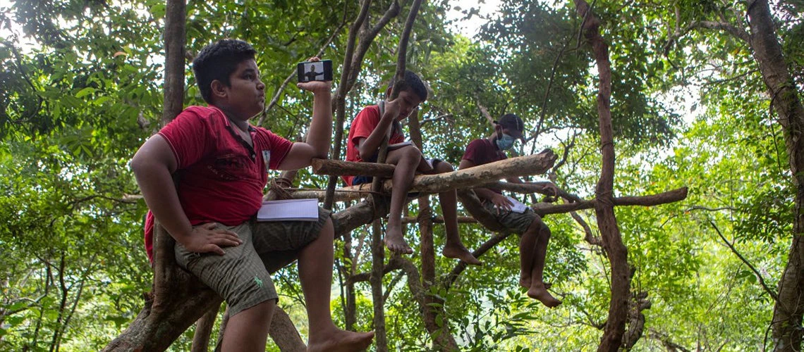 Sri Lankan children sit on tree branches as they access their online lessons from a forest reserve in their village in Bibila, Sri Lanka.