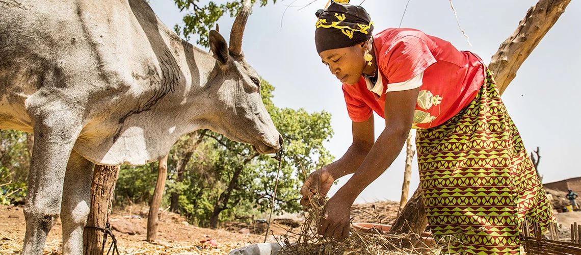 Strengthening the Financial Resilience of Pastoralists to Drought in Mali