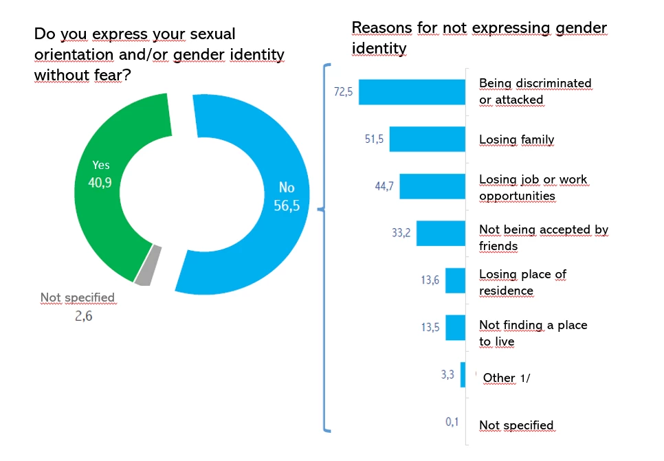 Survey LGBTI in Peru