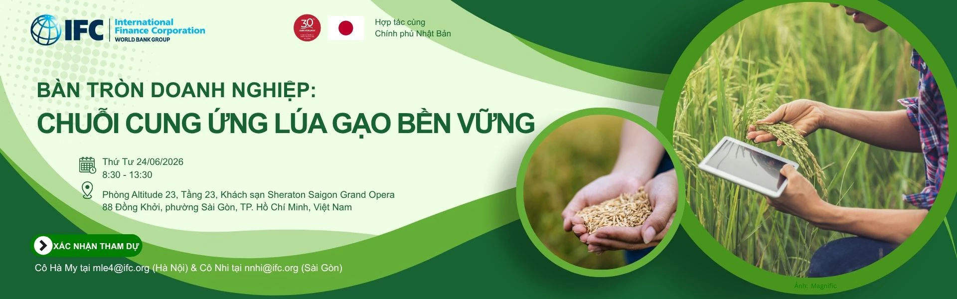 IFC External Web Banner - 3