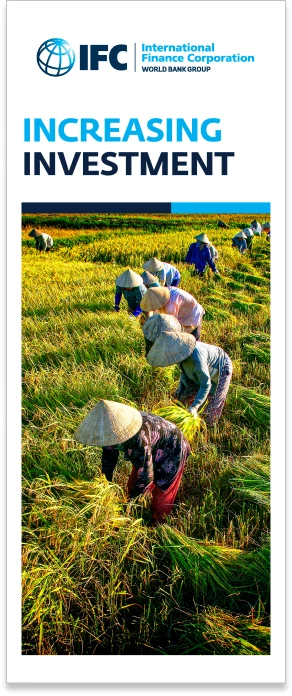 Tall banner insert 1