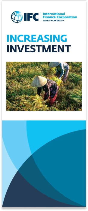 Tall banner insert 2