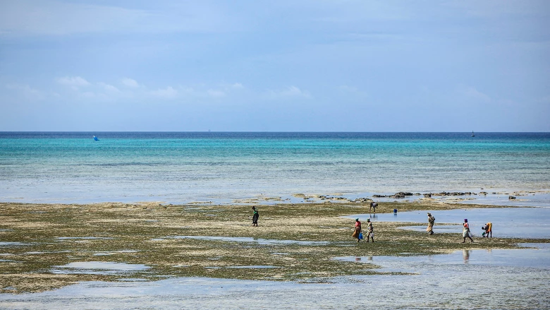 Zanizbar, Tanzania. Photo by Sonu Jani / World Bank