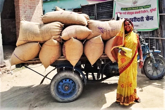 Kanchan Rani Devi bringing her corn to Sameli