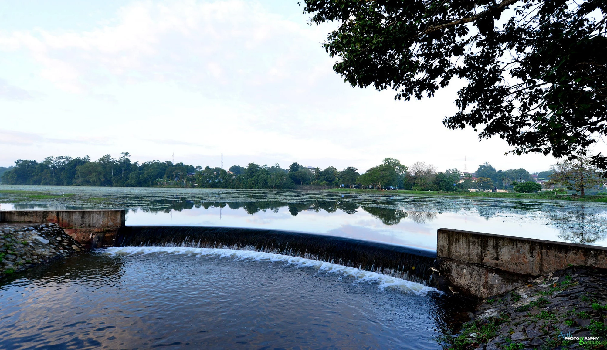 Talangama tank in Srijayawardenapura Kotte is a birding haven for wildlife enthusiasts, a livelihood source for the poor farmers that enables paddy cultivation, and helps divert flood water thus keeping Colombo safe. Photo Credit: Adjith Gamage