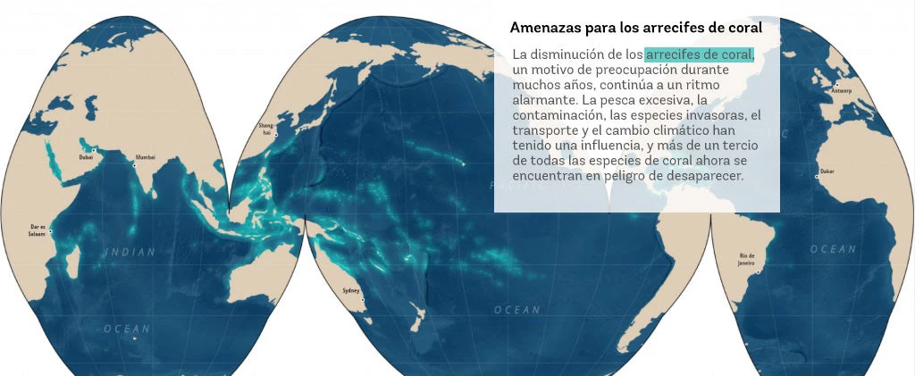 Amenazas para los arrecifes de coral