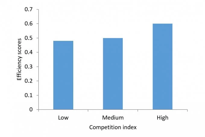 Competition and performance in South Asian ports