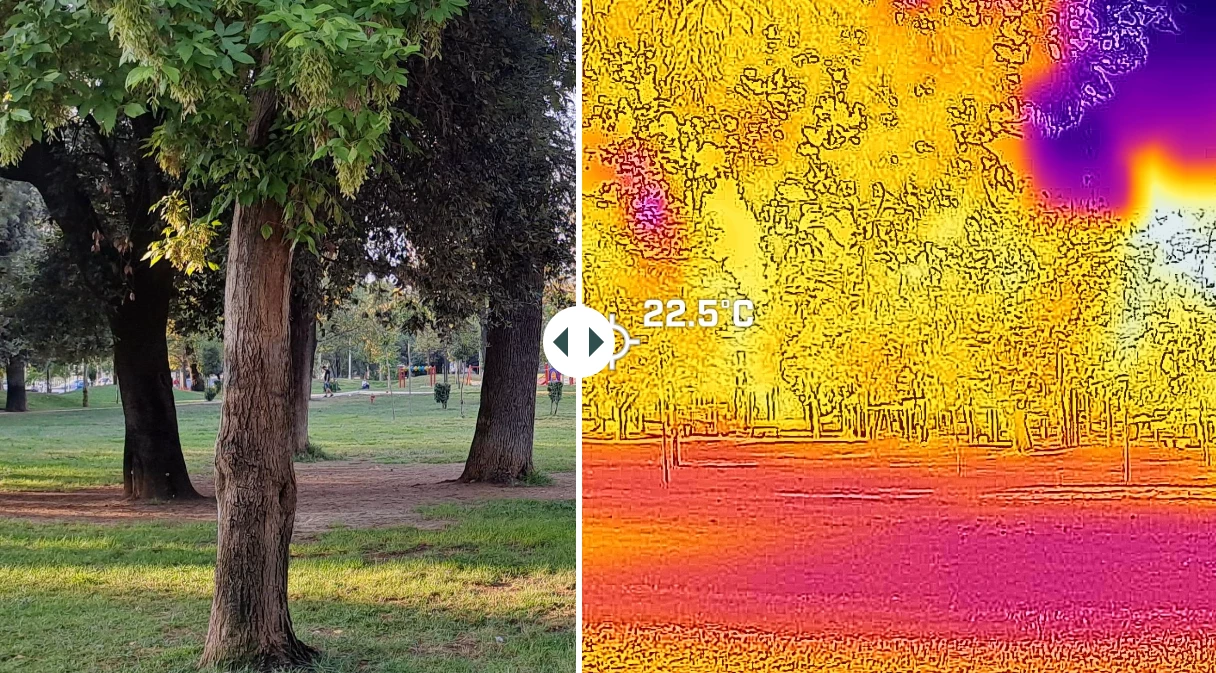 Green park with trees and a side imagery showing the environment's heat levels.