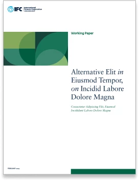 Cover: Working Paper