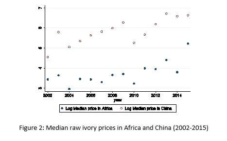 The White vs. Ivory Debate