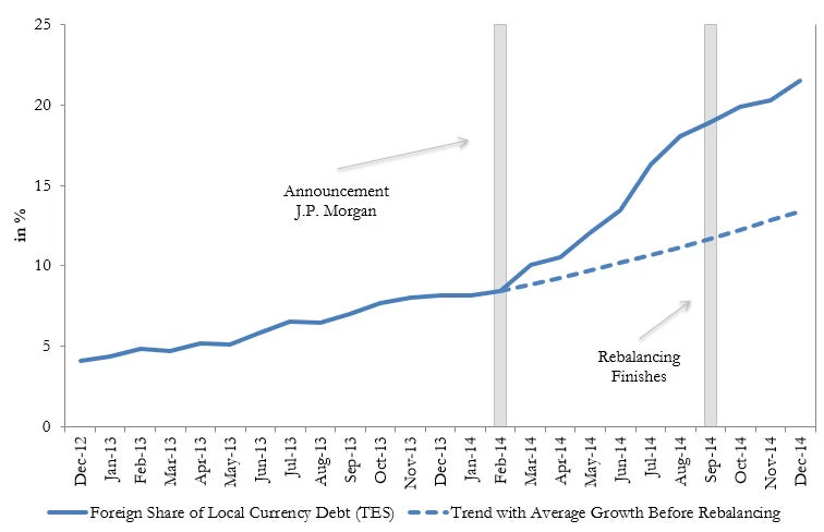  Foreign Share of Domestic Government Debt Securities