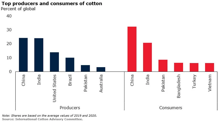 Top producers and consumers of cotton