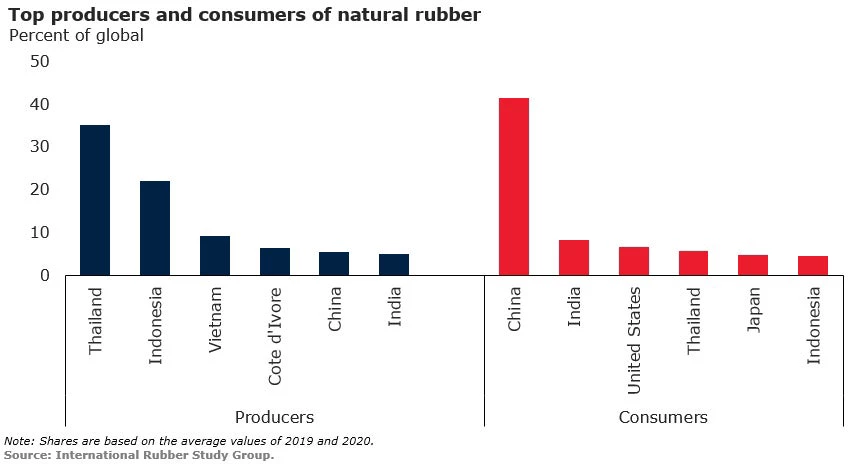 Top producers and consumers of natural rubber